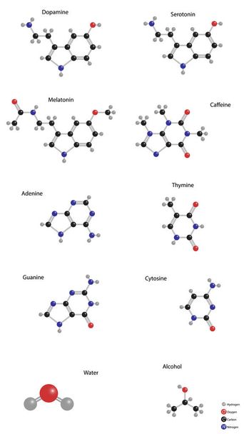 Conjunto de vectores de estructura molecular. Dopamina, serotonina, melatonina, cafeína, adenina, timina, guanina, citosina, agua, alcohol
 - Vector, Imagen