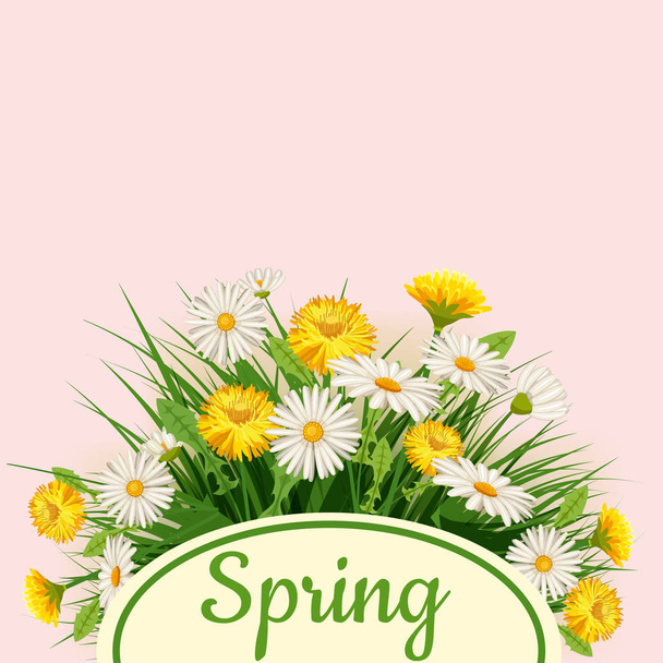 Frisse lente achtergrond met gras, paardebloemen en madeliefjes. Vector, poster, sjabloon - Vector, afbeelding