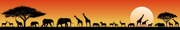 Afrikaanse savanne dieren bij zonsondergang - Vector, afbeelding