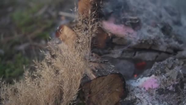 Közelkép a parázsló gőzölgő rönkről és hamuról a földön az indiai fű, cisztrum diófélék közelében - Felvétel, videó