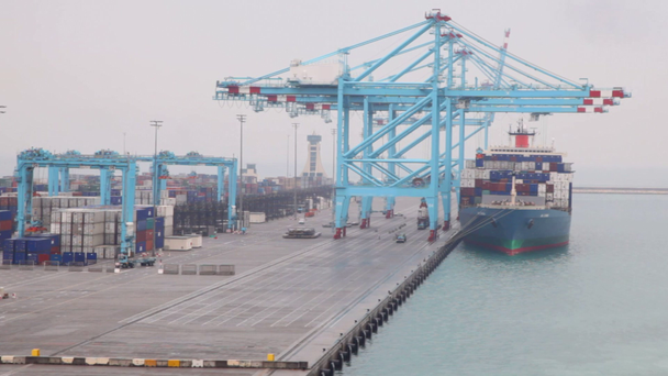 φορτηγίδα σταμάτησε σε λιμάνι κατά τη διάρκεια αποστολής - Πλάνα, βίντεο