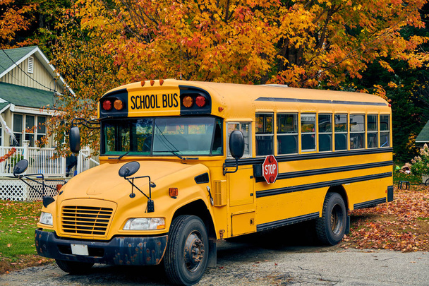 Iskolabusz a műút ősszel - Fotó, kép