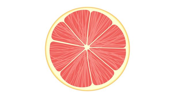 Grapefruit geïsoleerd op witte vector illustratie - Vector, afbeelding