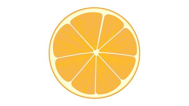 Cut orange fruit isolatedvector illustration - Vektör, Görsel