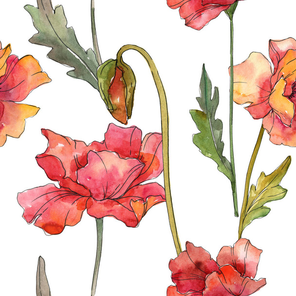 Czerwony MAK kwiatowy kwiatów botanicznych. Akwarela zestaw ilustracji tła. Płynny wzór tła. - Zdjęcie, obraz