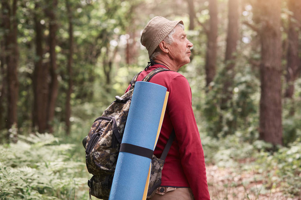 Camp, adventure, traveling, active recreation concept. Outdoor photo of eldery man with backpack and rug, wearing red sweater and cap, walking in forest among trees in wood, enjoys fresh air. - Φωτογραφία, εικόνα