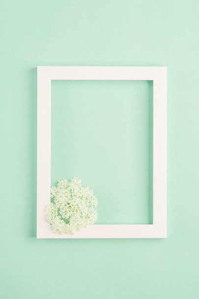 Beautiful white flowers and blank frame on pastel mint background. Soft light color. Top view, copy space. - Photo, Image