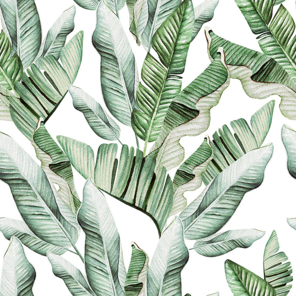 Gyönyörű akvarell varrat nélküli mintázat trópusi levelei és banánlevelei.  - Fotó, kép