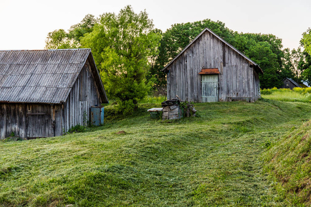 vieilles granges en bois sur la cour avec pelouse tondue le soir d'été
 - Photo, image