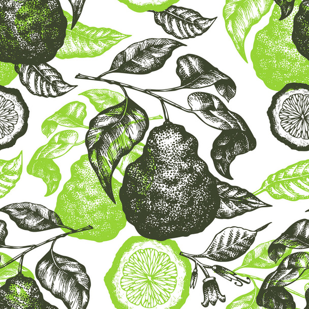 Bergamot branch seamless pattern. Hand drawn vector fruit illust - Vektor, Bild