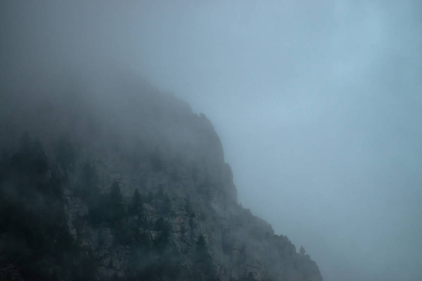 Upiory gigantyczne skały z drzewami w gęstej mgle. Tajemnicza ogromna Góra w mgle. Wczesnym rankiem w górach. Nieprzeniwny mgły. Ciemne, nastrojowe krajobrazy. Spokojna mistyczna atmosfera dzikiej przyrody. - Zdjęcie, obraz