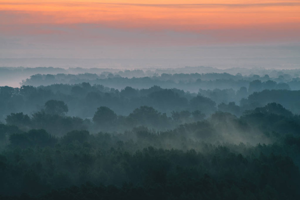 Мистический вид сверху на лес под туманом ранним утром. Туман среди слоев древесных силуэтов в тайге под теплым предрассветным небом. Утренний атмосферный минималистический пейзаж величественной природы
. - Фото, изображение