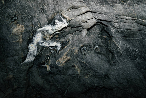 Прекрасная пещера. Вид из темного подземелья. Текстурированные стены пещеры. Фоновый образ андеграунда. Влажность внутри пещеры
. - Фото, изображение