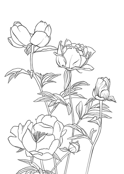 vector drawing flowers - Vetor, Imagem