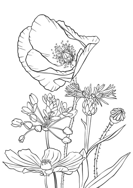 vector drawing flowers - Vektori, kuva