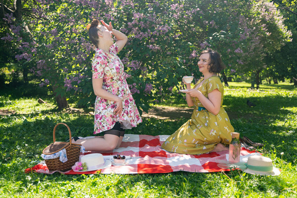 two pretty pin up ladies having nice picnic in the city park in a sunny day together. girls friends enjoy hot summer weather. beautiful females in retro vintage style are relaxing on the grass. - Photo, Image