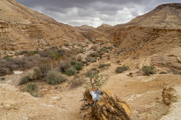 Πεζοπορία στον χειμερινό τουρισμό έρημο του Ισραήλ - Φωτογραφία, εικόνα