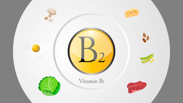 Vitamin B2 kaynakları vektör illüstrasyon - Vektör, Görsel