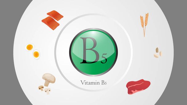 B5-vitamiinin lähteet vektorin kuva
 - Vektori, kuva