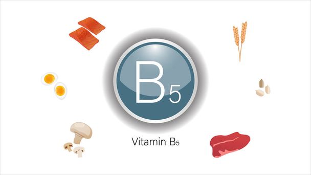 Vitamina B5 fuentes vector ilustración
 - Vector, imagen