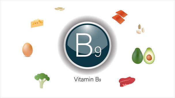 Βιταμίνη Β9 πηγές απεικόνιση διάνυσμα - Διάνυσμα, εικόνα