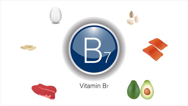 Vitamin B7 kaynakları vektör illüstrasyon - Vektör, Görsel