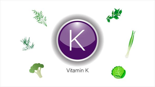 K-vitamin források vektoros illusztráció - Vektor, kép