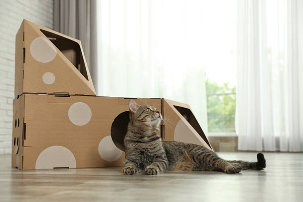 Cute tabby cat near cardboard house in room. Friendly pet - Φωτογραφία, εικόνα