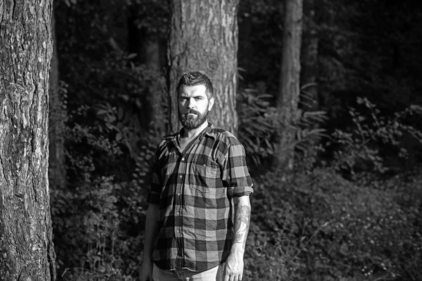 Brutal bearded man standing in front of trees. Concentrated lumberjack wandering in wilderness in the evening - Foto, afbeelding