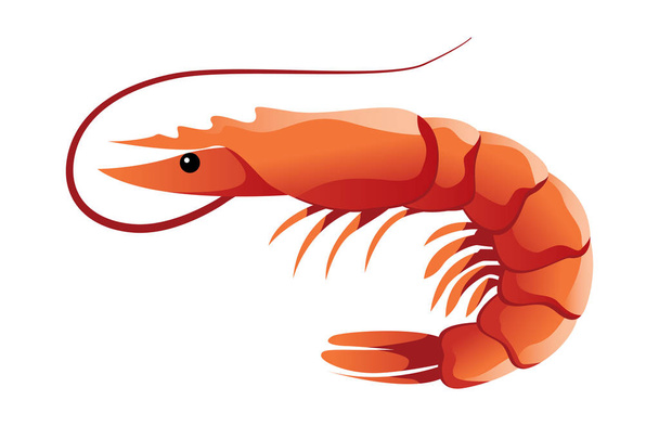 Shrimp Shaded Vector Illustration - Vektor, Bild