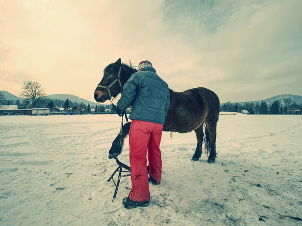 Персонал фермы готовит лошадь для очистки копыт от кузнеца
.  - Фото, изображение
