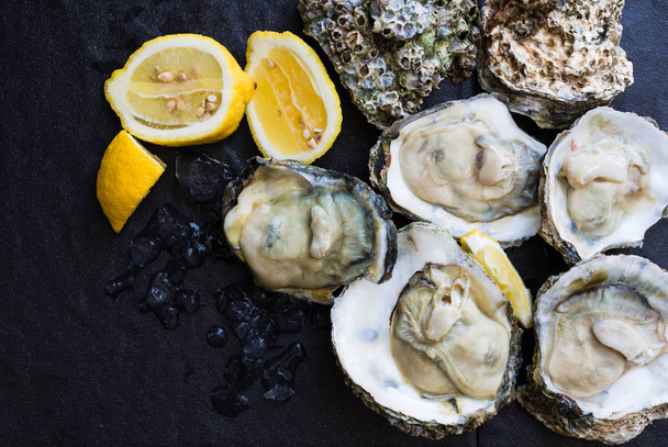 Verse rauwe oesters klaar om te koken geplaatst op stenen plaat achtergrond, gezond eten, uitzicht vanaf de top - Foto, afbeelding