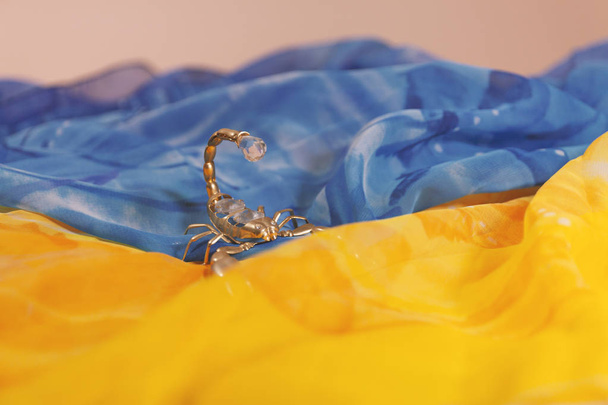 Скорпион лежит на желтом и синем фоне
 - Фото, изображение