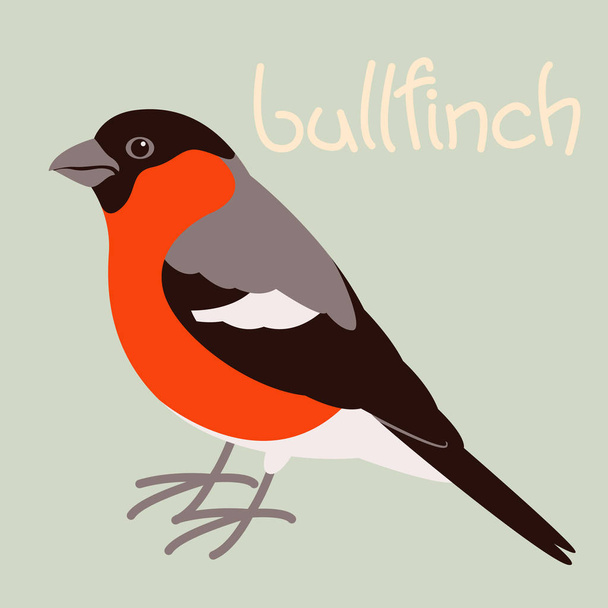 bullfinch bird, vector illustration,flat style - Wektor, obraz