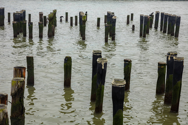 Деревянные столбы в реке Хадсон, Манхэттен, Нью-Йорк
 - Фото, изображение