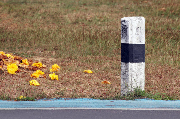 beton kilométer jel pole az útszélen a természet fű háttér, beton pillér kilométer a közúti és a sárga virágok a padlón, kilométer kő a közúti és a közeli gyepterület Thaiföldön - Fotó, kép