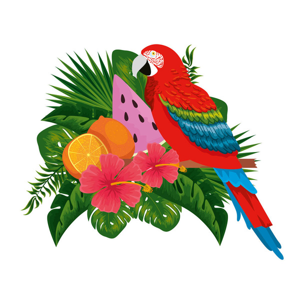 exotische papegaai met tropisch fruit en florale decoratie - Vector, afbeelding