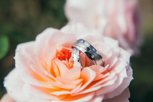 wedding rings on a background of roses - Φωτογραφία, εικόνα