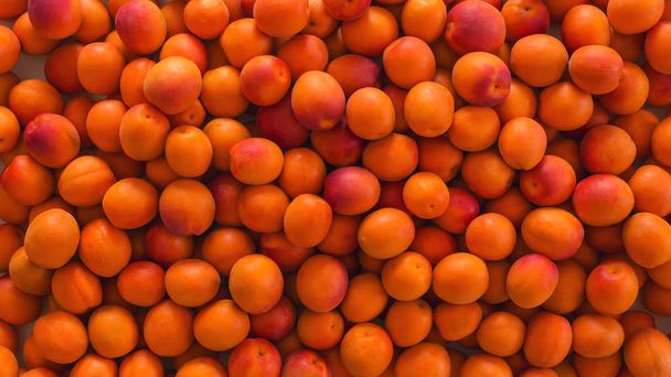 Freshly picked bright ripe apricots. The concept of healthy eating. - Foto, Imagem