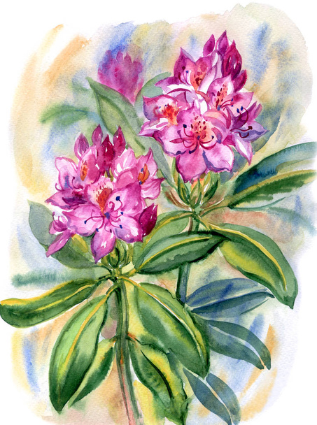 Hot pink blooming rhododendron, watercolor painting in an expressive manner. - Foto, immagini