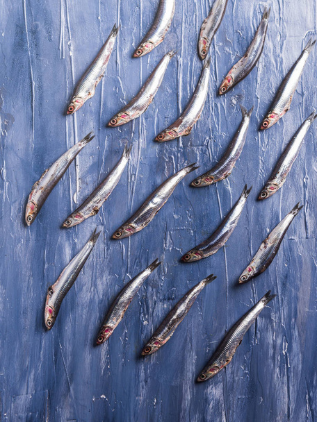 Schema dei pesci. Acciughe fresche sul blu
 - Foto, immagini