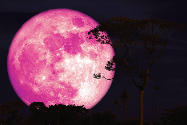 1,300+ Pink Moon Stock Videos and Royalty-Free Footage - iStock