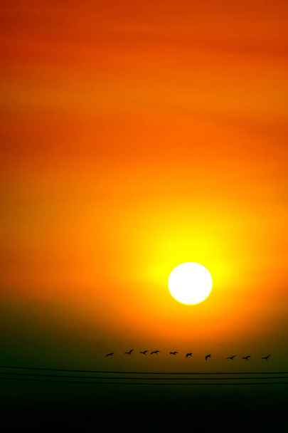 gün batımı gökyüzü ve güneş ray her yerde ve siluet f çok renkli - Fotoğraf, Görsel