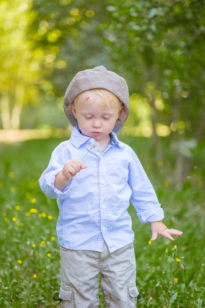 Little boy with blond hair in a cap and blue shirt in summer in a field with flowers - Foto, immagini