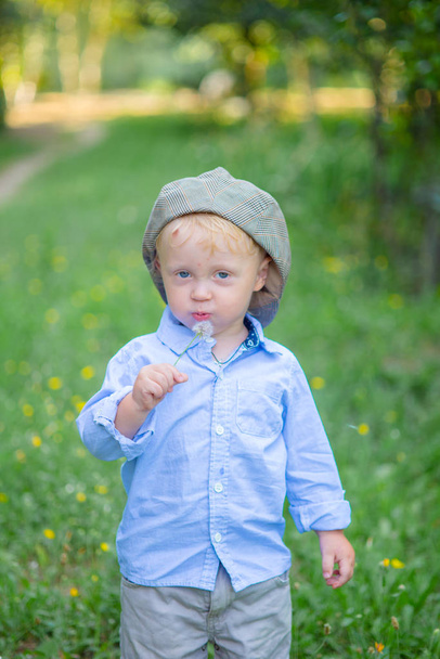 Little boy with blond hair in a cap and blue shirt in summer in a field with flowers - Photo, Image