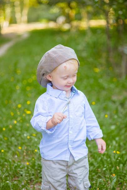 Little boy with blond hair in a cap and blue shirt in summer in a field with flowers - Fotografie, Obrázek