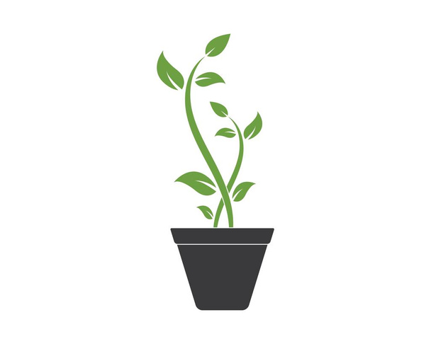 logo végétal icône vectoriel illustration design
 - Vecteur, image
