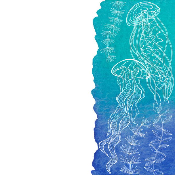 Vector illustration with jellyfish,water plant on watercolor bac - Vector, Image