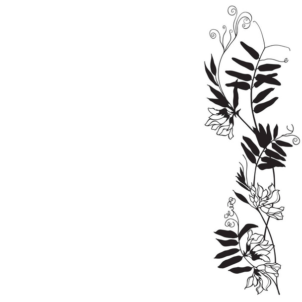 Vector illustration with grass mouse peas , design element. Invi - Vetor, Imagem