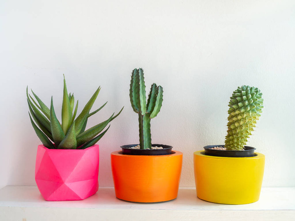 Belles diverses planteuses géométriques en béton avec cactus, flowe
 - Photo, image